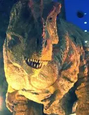 タカ