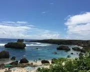 リサの画像