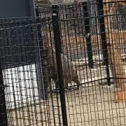 おにぎらずの画像