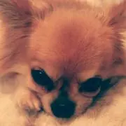☆YUKA☆◎