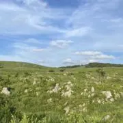 れんの画像