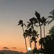 tecoの画像