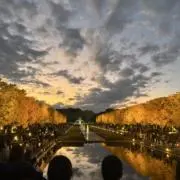 ときときの画像