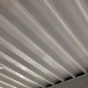 kinchanの画像