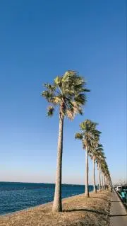 REDBASEサンキュー