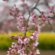 3ドンチャック3の画像