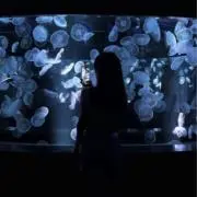 hmk.※プロフ必読の画像