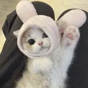 ななの画像