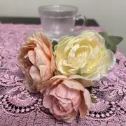 まはりんの画像