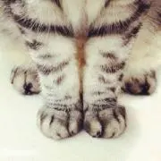 r_e_i