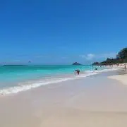 ゾフィーの画像