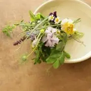 hippopotamasの画像