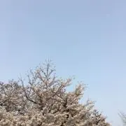 ふな