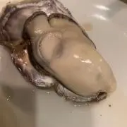 牡蠣の画像