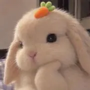 ウサギ₍ᐢ. .ᐢ₎の画像