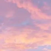 メイ