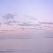nyaoo