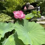 あきの画像