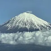ウェリス