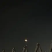 nuの画像