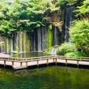 SO16の画像