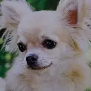 みさ