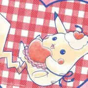 ピカの画像