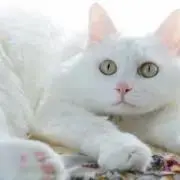 Rie☆プロフ必読！