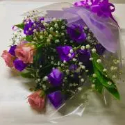 ☆Tamy☆の画像