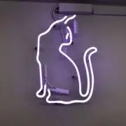 ちょびの画像