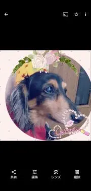 reosimの画像