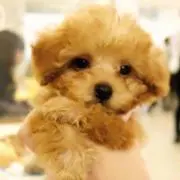 yukiの画像