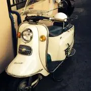 パンダル50cc