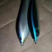 独身貴族
