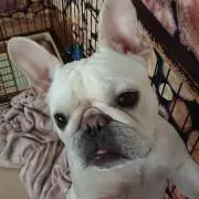 ふみちゃん