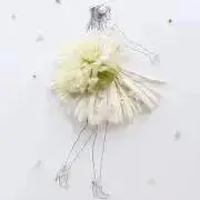 Y-Yの画像