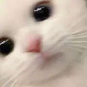 ユアの画像