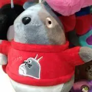 RecQの画像