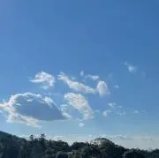 山田
