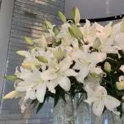 tskの画像