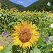 うーさんの画像