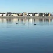 ぬこ