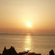 Janranの画像