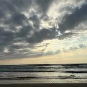 capjapnの画像