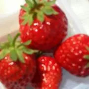 まいまいの画像