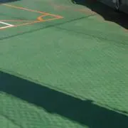 ちはやの画像