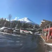 めっし