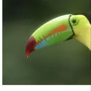 mana