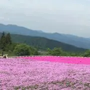 ナカムラの画像