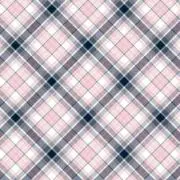 ぴぴの画像